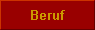  Beruf 